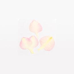 Nail Labo Dried Flower Rose Petal Pink