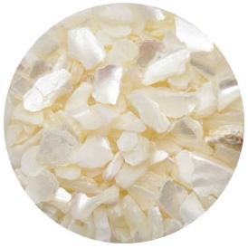 Nail Labo Shell Mosaic Tile White