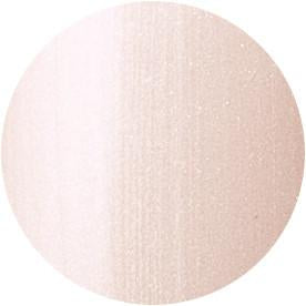 Presto Color Gel #008 leggiero [10g] [Bottle]