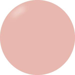 Presto Color Gel #009 [10g] [Bottle]