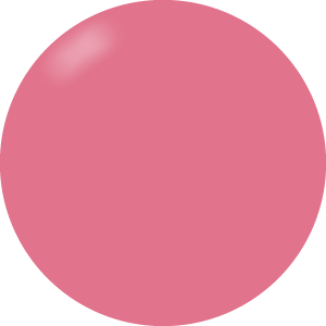 Presto Color Gel #020 [10g] [Bottle] [Rebranded]
