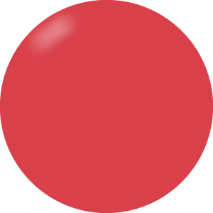 Presto Color Gel #039 [10g] [Bottle] [Rebranded]