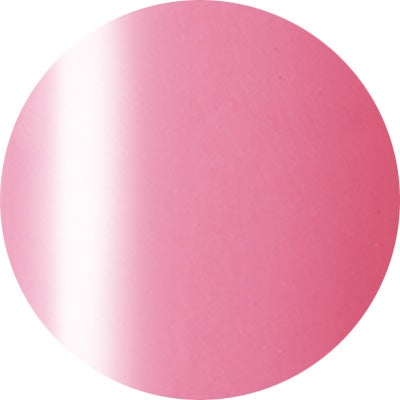Presto Color Gel #051 pomposo [10g] [Bottle] [Clearance]