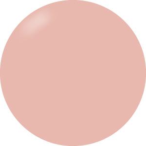 Presto Color Gel #061 [10g] [Bottle] [Rebranded]