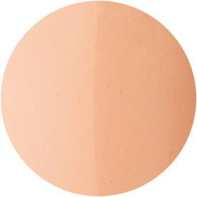 Presto Color Gel #061 diminuendo [10g] [Bottle]