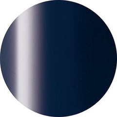 Presto Color Gel #083 doloroso [10g] [Bottle] [Clearance]