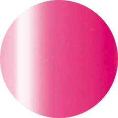Presto Color Gel #089 [2.7g] [Jar] [Rebranded]