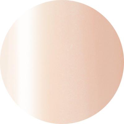 Presto Color Gel #101 [10g] [Bottle] [Rebranded]