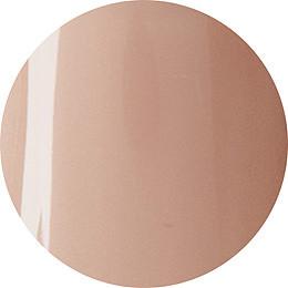 Presto Color Gel #102 arco [10g] [Bottle] [Rebranded]