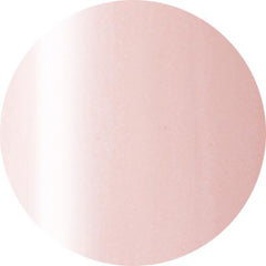 Presto Color Gel #106 [10g] [Bottle] [Rebranded]