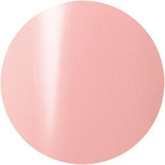 Presto Color Gel #134 [10g] [Bottle] [Rebranded]