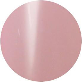 Presto Color Gel #137 morbido [10g] [Bottle] [Clearance]