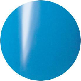 Presto Color Gel #141 Posato [10g] [Bottle] [Clearance]