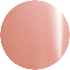 Presto Color Gel #169 Schietto [10g] [Bottle]