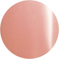 Presto Color Gel #169 Schietto [10g] [Bottle]