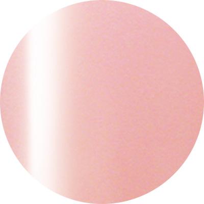 Presto Color Gel #170 [10g] [Bottle] [Rebranded]