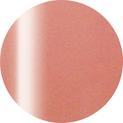 Presto Color Gel #171 [10g] [Bottle] [Rebranded]