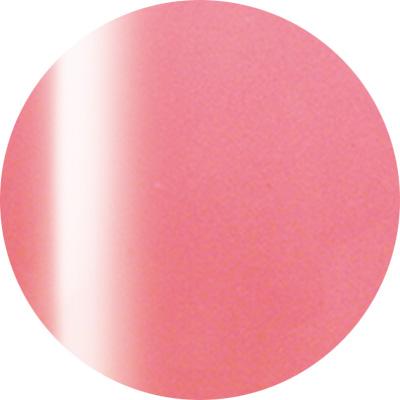 Presto Color Gel #172 [2.7g] [Jar] [Rebranded]