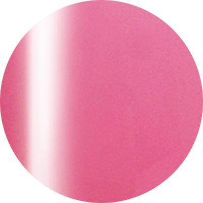 Presto Color Gel #173 [10g] [Bottle] [Rebranded]