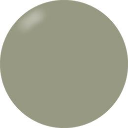Presto Color Gel #191 [2.7g] [Jar] [Rebranded]