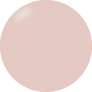 Presto Color Gel #198 [10g] [Bottle] [Rebranded]