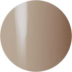 Presto Color Gel #202 [10g] [Bottle] [Rebranded]
