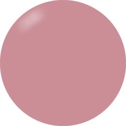 Presto Color Gel #205 [2.7g] [Jar] [Rebranded]