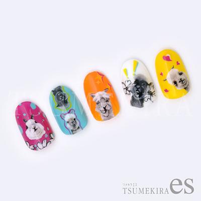 Tsumekira [es] Yeung Pui Lun Product 2 Funny Alpaca ES-YPL-102