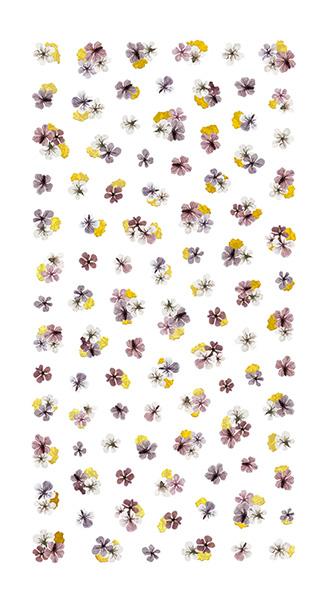 Tsumekira noble Dried Flower Gold Flake 2 NO-DFG-102