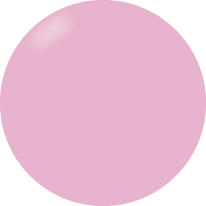 Presto Color Gel #220 [10g] [Bottle] [Rebranded]