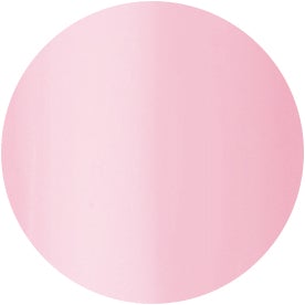 Presto Color Gel #220 [10g] [Bottle] [Clearance]