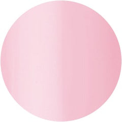 Presto Color Gel #220 [10g] [Bottle] [Clearance]