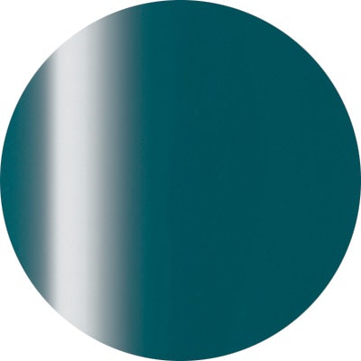 Presto Color Gel #239 verde mare [10g] [Bottle] [Clearance]
