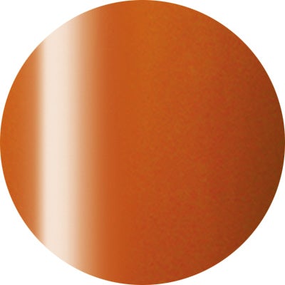 Presto Color Gel #241 caramella [10g] [Bottle] [Clearance]