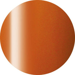 Presto Color Gel #241 caramella [10g] [Bottle] [Clearance]