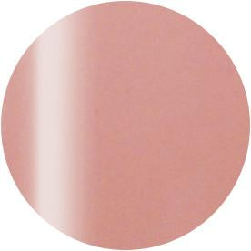 Presto Color Gel #242 [10g] [Bottle] [Clearance]