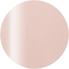 Presto Color Gel #243 [10g] [Bottle]