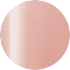 Presto Color Gel #244 [10g] [Bottle] [Clearance]