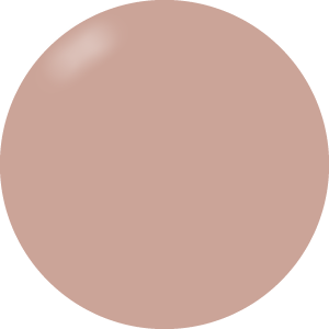 Presto Color Gel #244 [10g] [Bottle] [Rebranded]