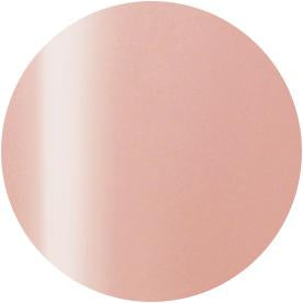 Presto Color Gel #244 [10g] [Bottle]