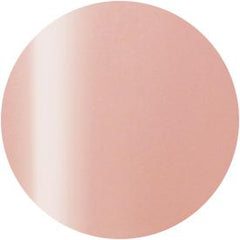 Presto Color Gel #244 [10g] [Bottle]