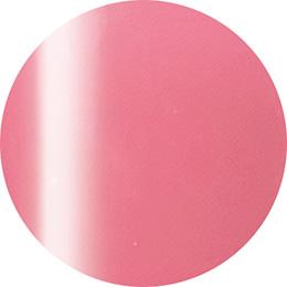Presto Color Gel #248 [2.7g] [Jar] [Rebranded]