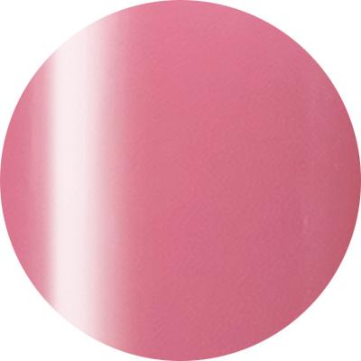 Presto Color Gel #249 [2.7g] [Jar] [Rebranded]