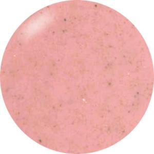 Presto Color Gel #295 [10g] [Bottle] [Rebranded]