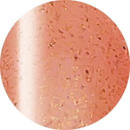 Presto Color Gel #302 [10g] [Bottle] [Rebranded]