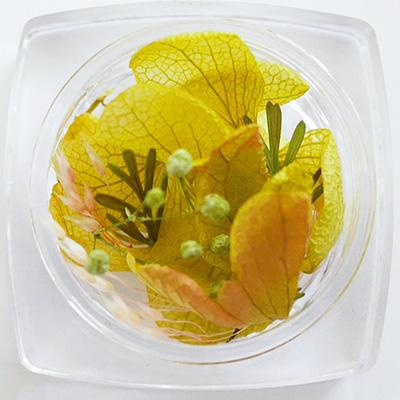 Nail Parfait Flower Yellow