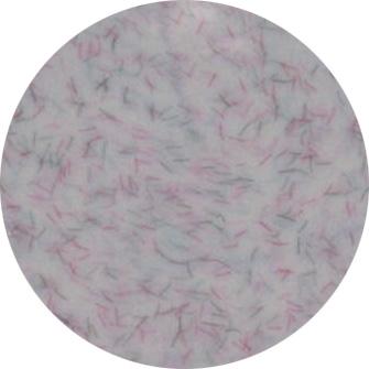 Presto Color Gel #323 [2.7g] [Jar] [NEW]