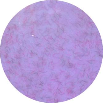 Presto Color Gel #326 [2.7g] [Jar] [NEW]