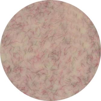 Presto Color Gel #333 [2.7g] [Jar] [Rebranded]