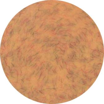 Presto Color Gel #334 [2.7g] [Jar] [Rebranded]
